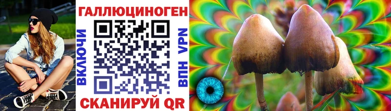 где купить наркоту  Джанкой  Галлюциногенные грибы мицелий 