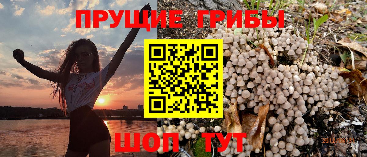 Галлюциногенные грибы ЛСД Джанкой
