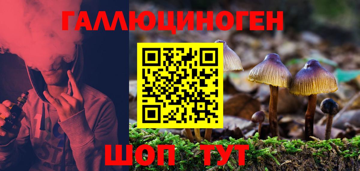 Псилоцибиновые грибы Magic Shrooms  Вход с VPN  Джанкой  Псилоцибиновые грибы GOLDEN TEACHER 